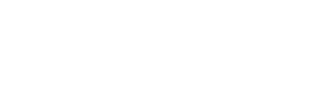 DOLPHINS TEAM STORE